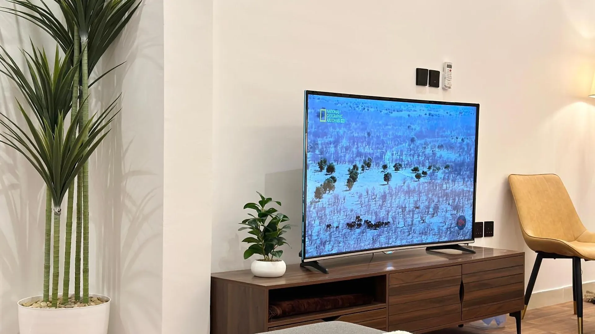 New Stadio In Centre Of Riyadh Apartment